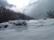 Clicca qui per vedere l'immagine in dettaglio