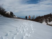 Clicca qui per vedere l'immagine in dettaglio