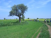 Clicca qui per vedere l'immagine in dettaglio