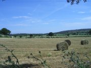 Clicca qui per vedere l'immagine in dettaglio