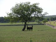 Clicca qui per vedere l'immagine in dettaglio