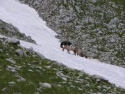 Clicca qui per vedere l'immagine in dettaglio