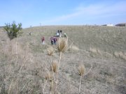 Clicca qui per vedere l'immagine in dettaglio