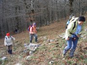 Clicca qui per vedere l'immagine in dettaglio