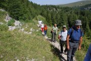 Clicca qui per vedere l'immagine in dettaglio