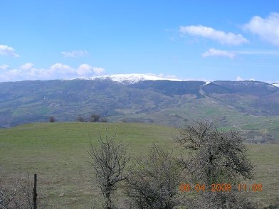 Clicca qui per vedere l'immagine in dettaglio