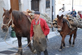 Clicca qui per vedere l'immagine in dettaglio