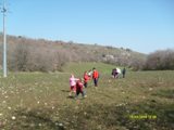 Clicca qui per vedere l'immagine in dettaglio