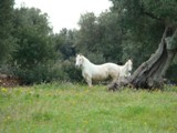 Clicca qui per vedere l'immagine in dettaglio